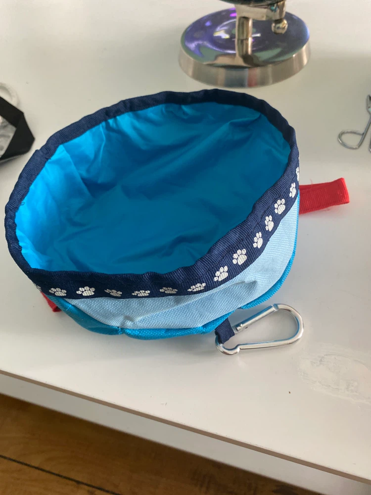 Collapsible Travel Pet Bowl