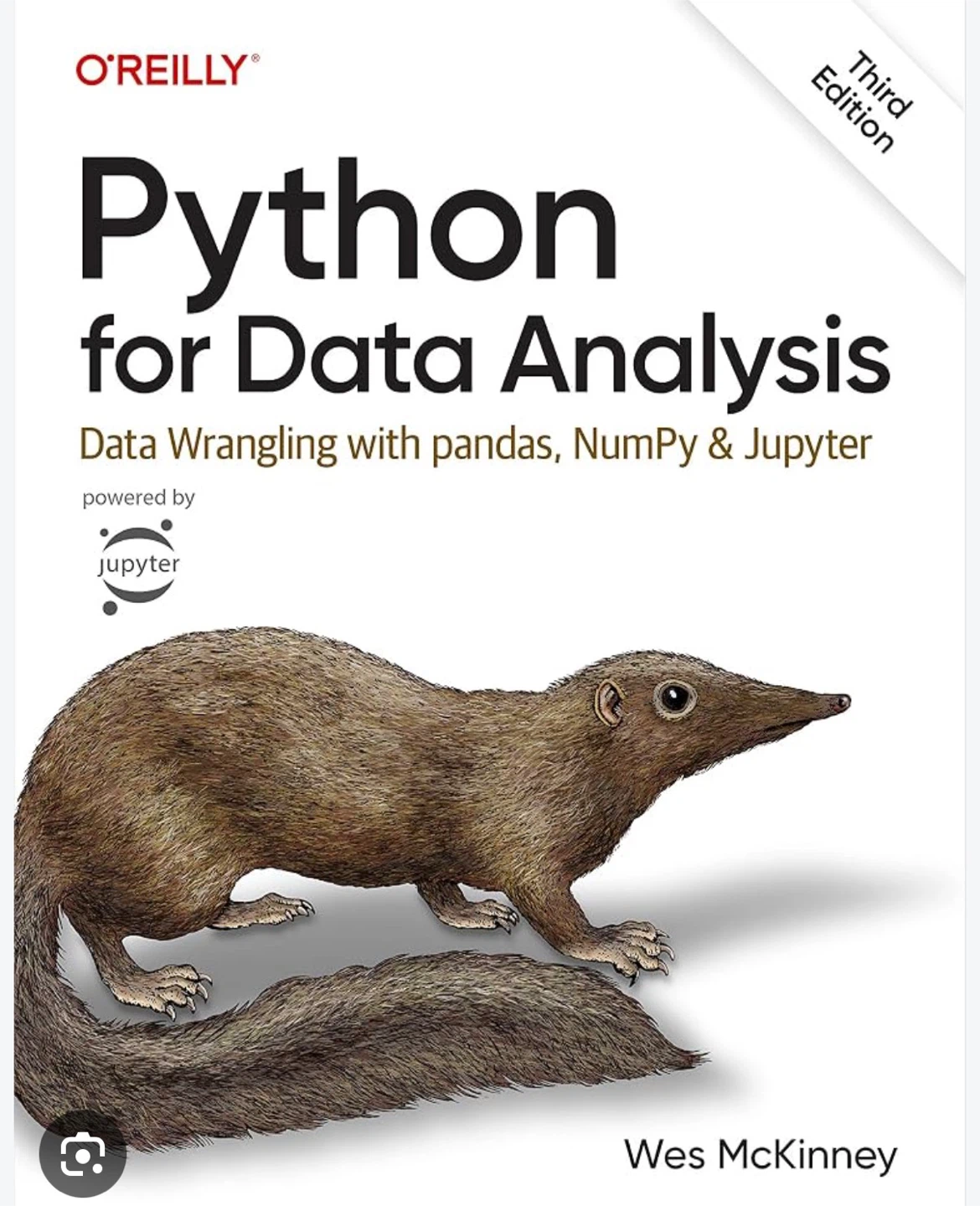 Python for Data Analysis and Oracle PL/SQL 101 books