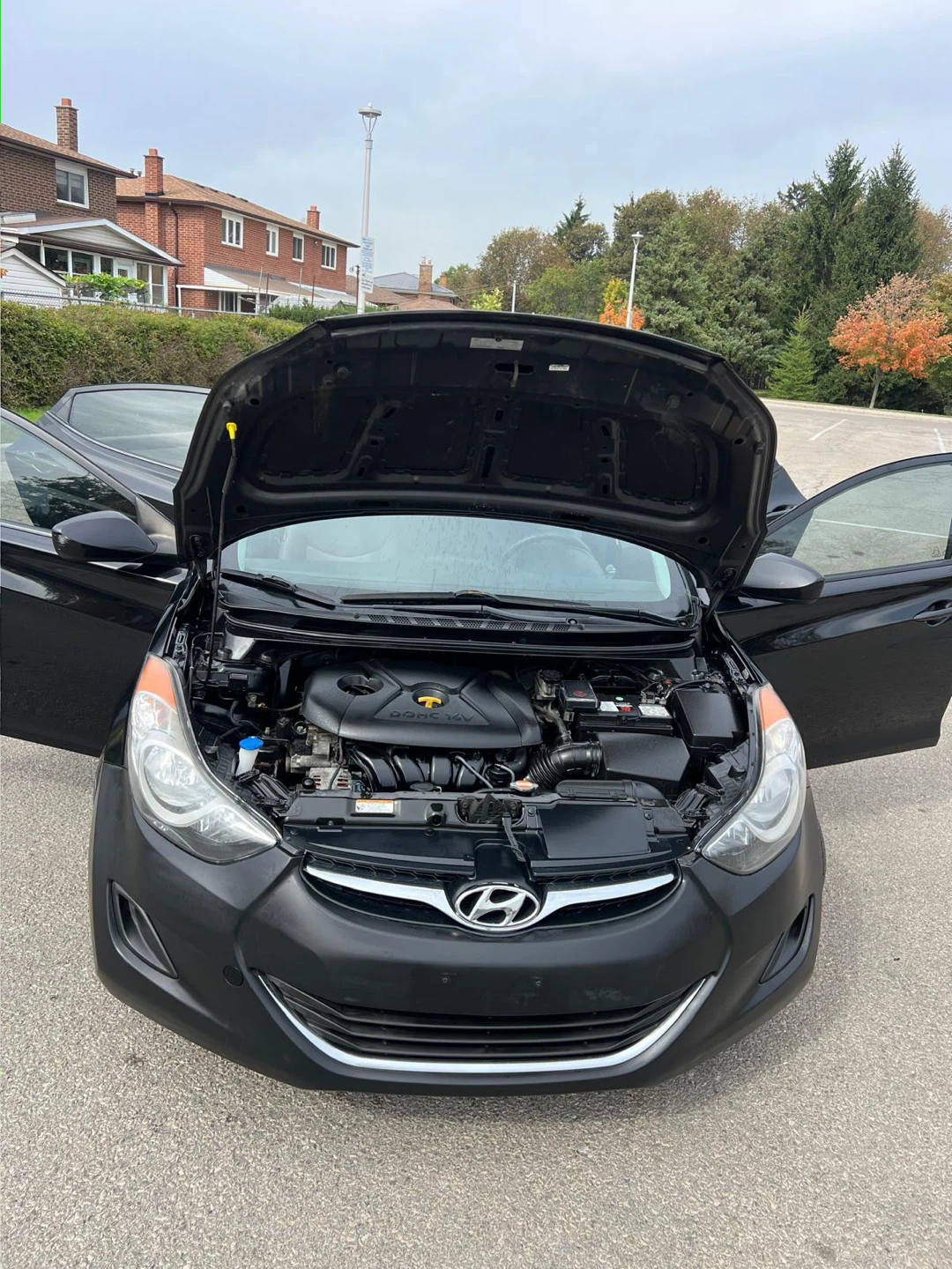 Hyundai Elantra Sedan - photo 5