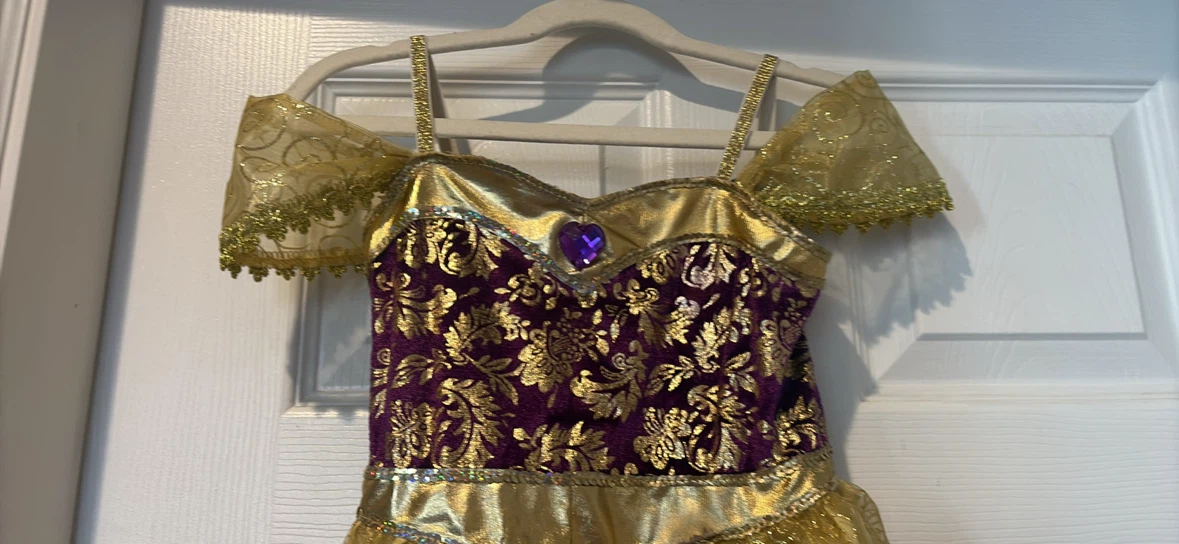 Princess Costume Dress - photo 2