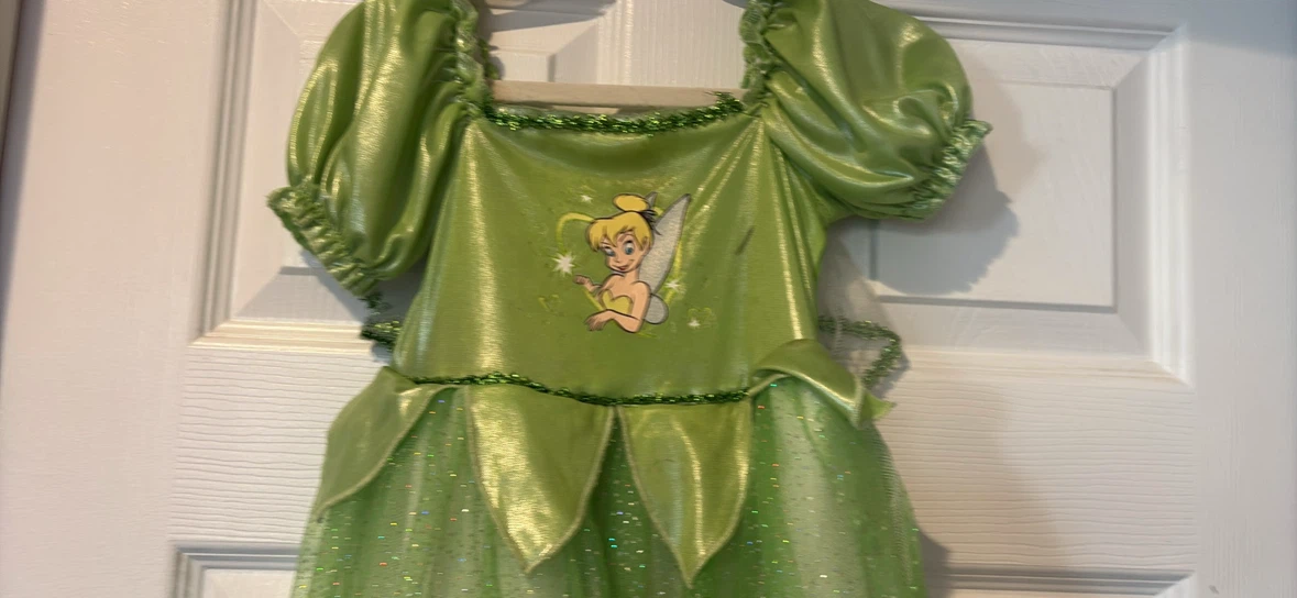 Disney Tinker Bell Costume