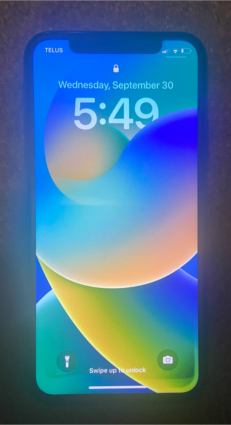 Apple iPhone X
