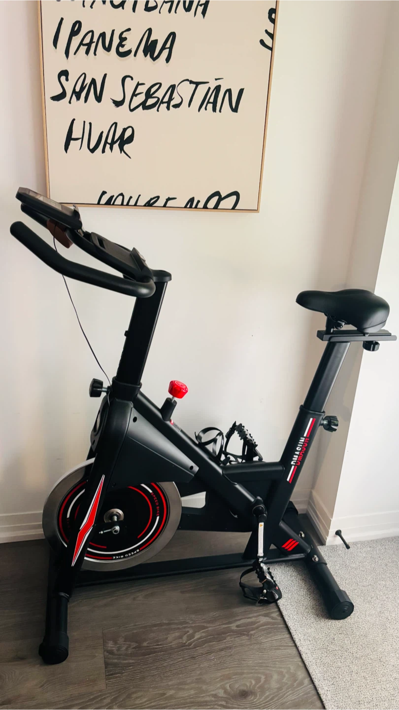 DMASUN Exercise Bike