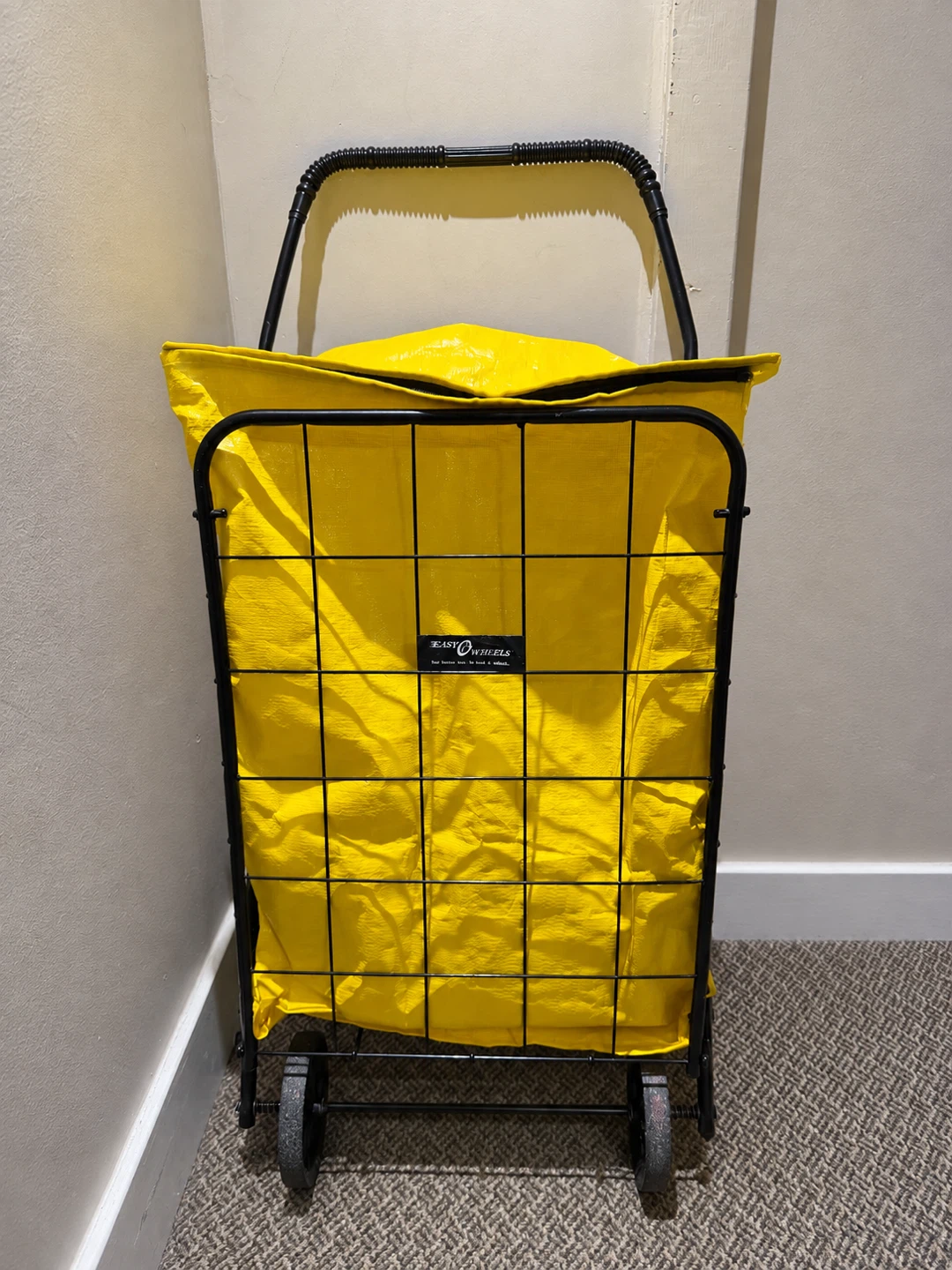 Grocery Cart with Bag