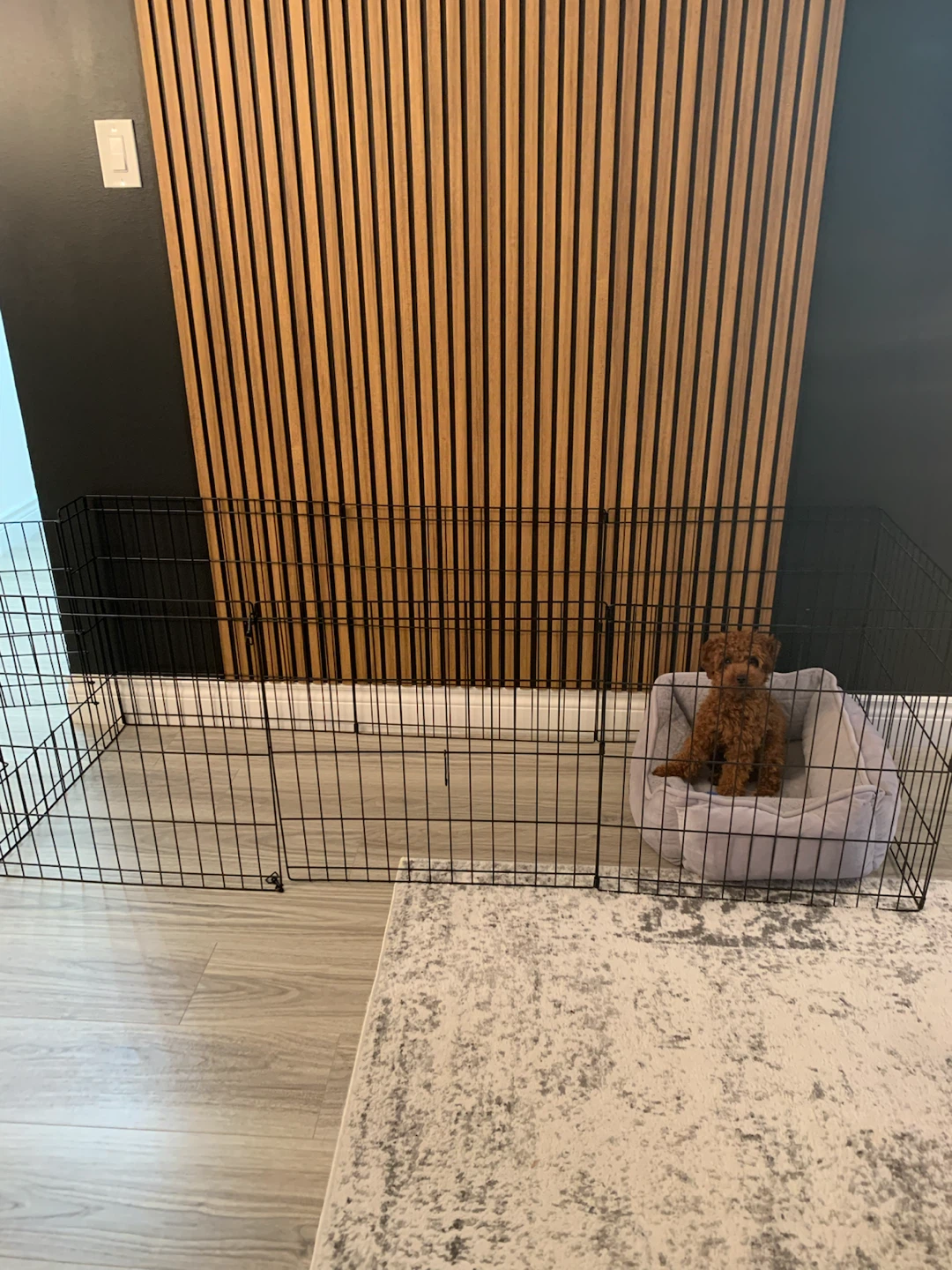 large black wire Dog Playpen with Gate - photo 5