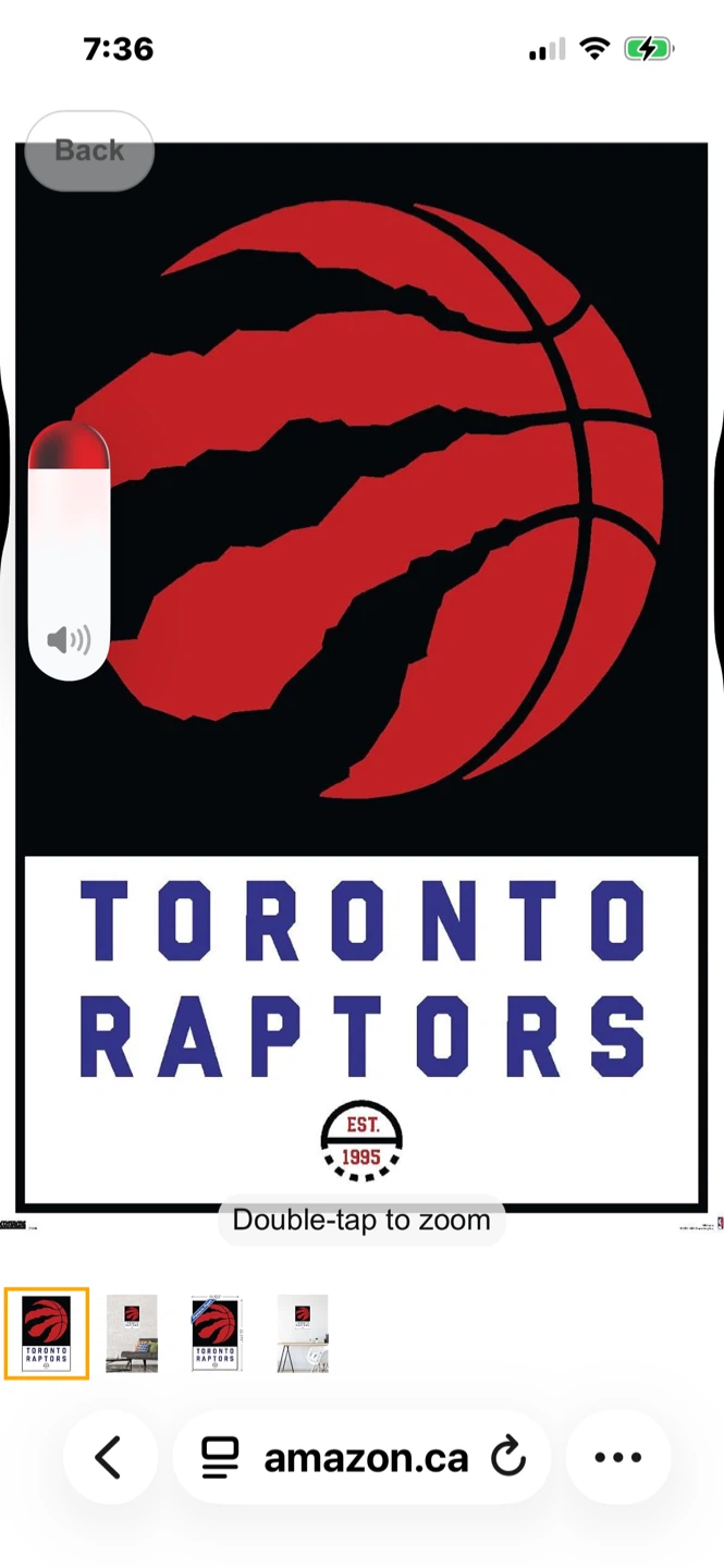 Toronto Raptors tickets 2 side by side