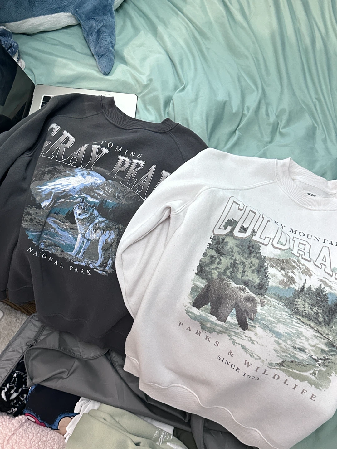 Two Ardene National Park Crewneck Sweatshirts