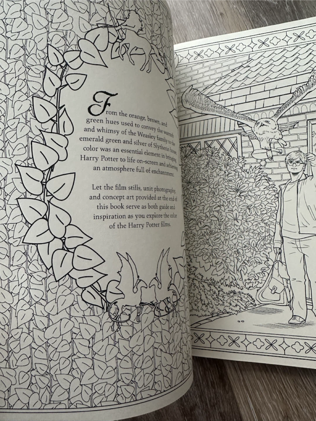 Harry Potter Colouring Book - photo 5