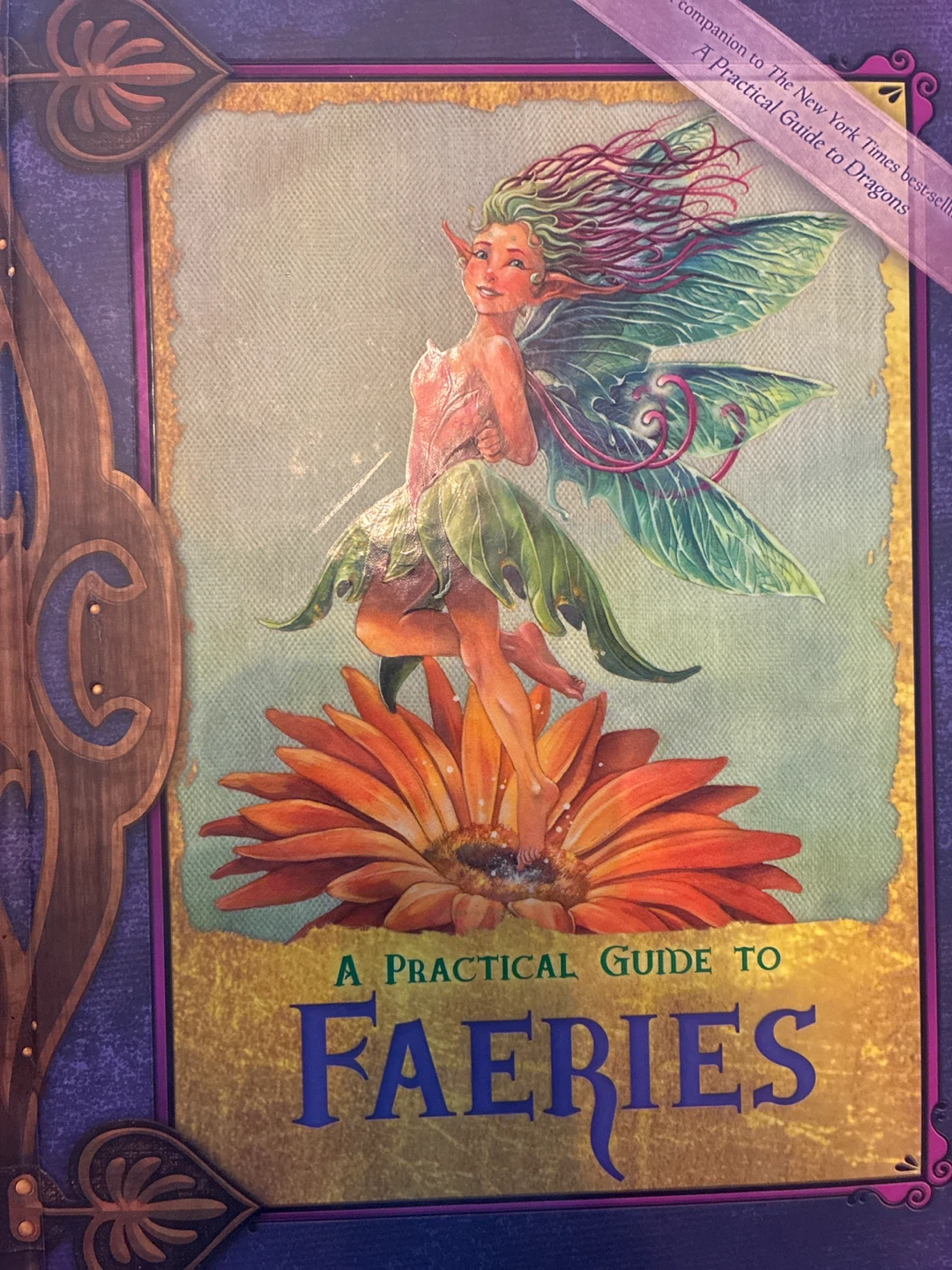 A Practical Guide to Faeries Hardcover Book