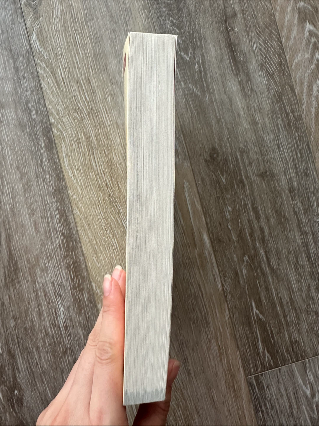 The Ketogenic Diet Book by Kristen Mancinelli - photo 4