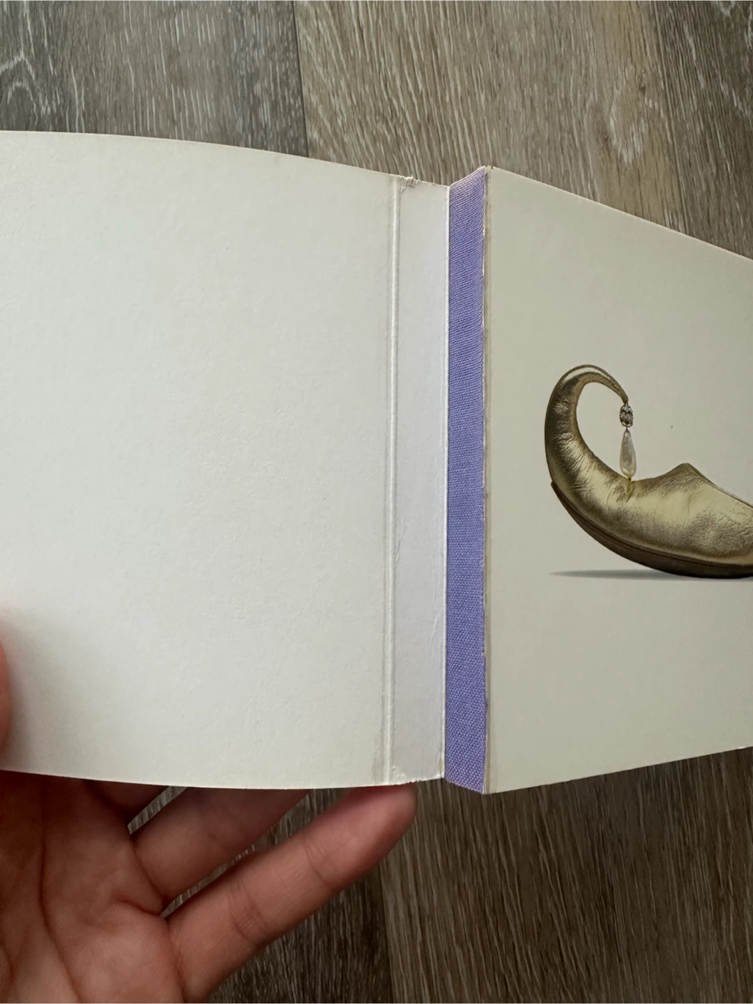 The Metropolitan Museum of Art Shoes Postcard Book - photo 5