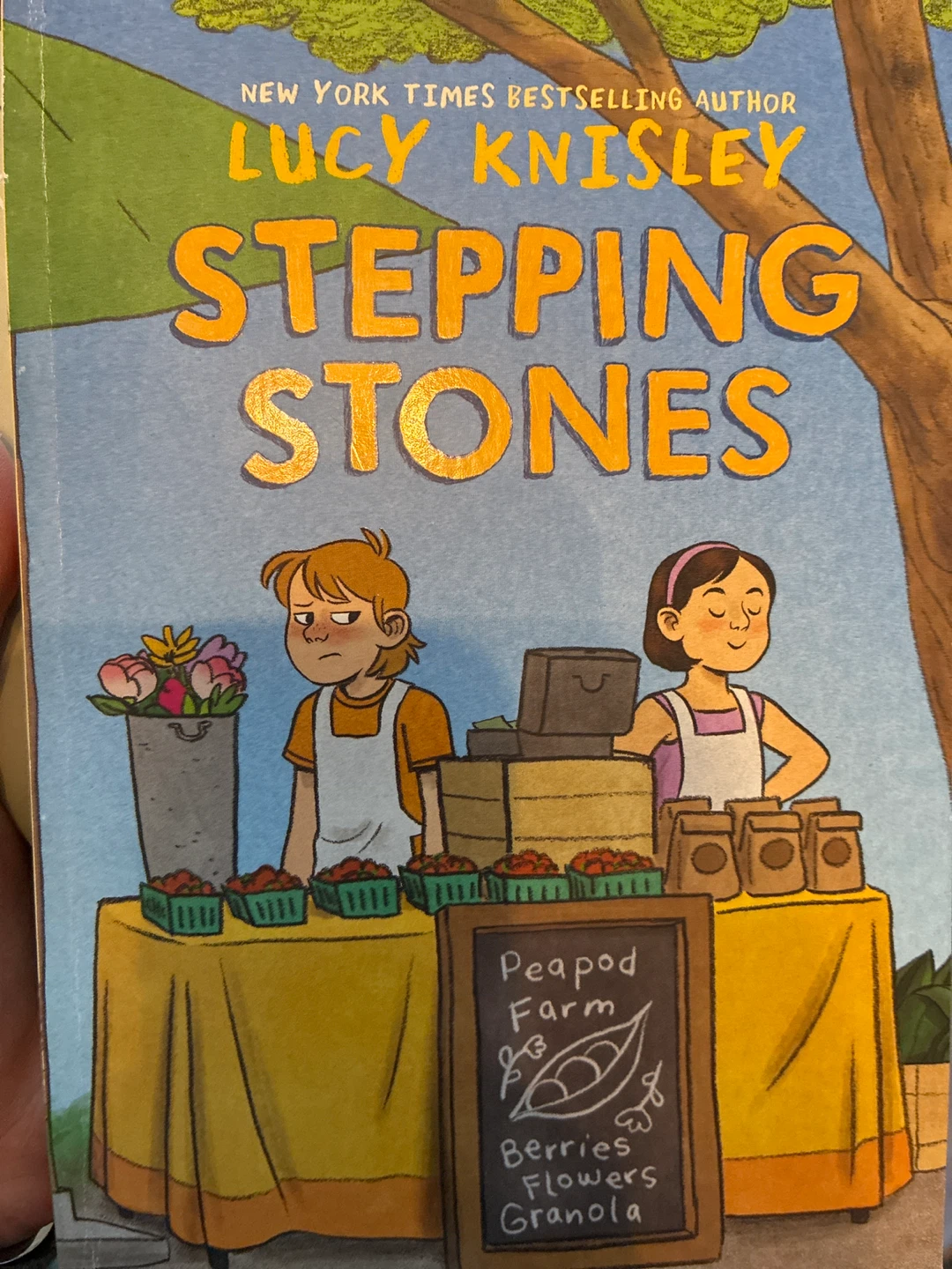 Stepping Stones by Lucy Knisley