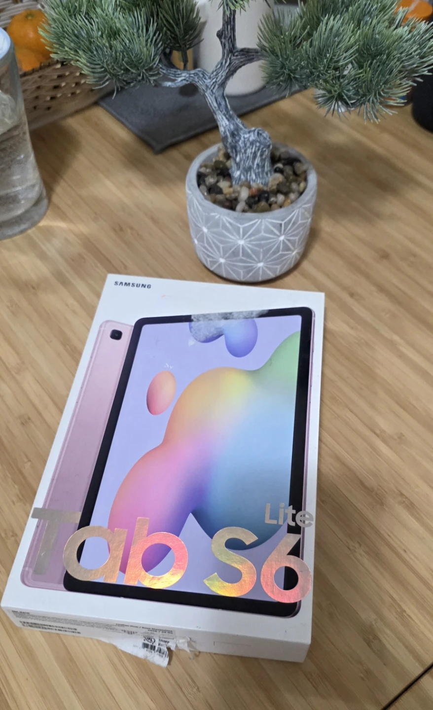 Samsung Galaxy Tab S6 Lite - photo 2