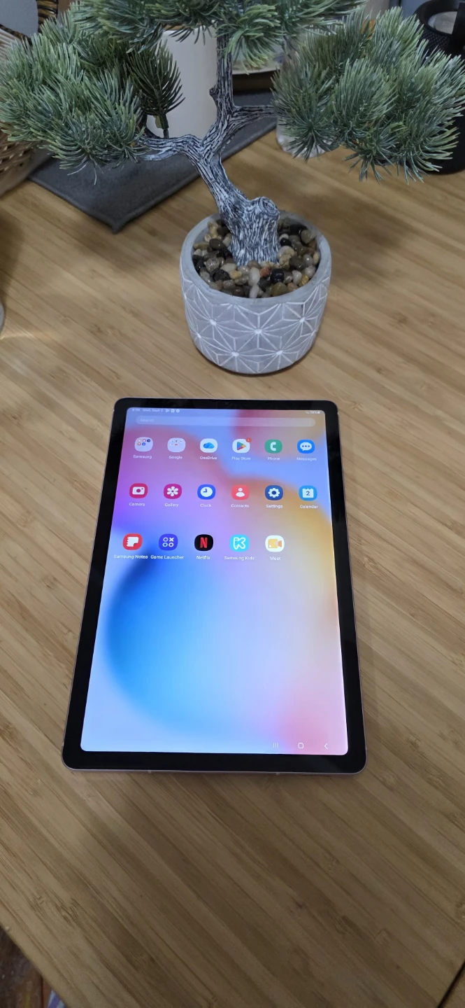 Samsung Galaxy Tab S6 Lite - photo 5