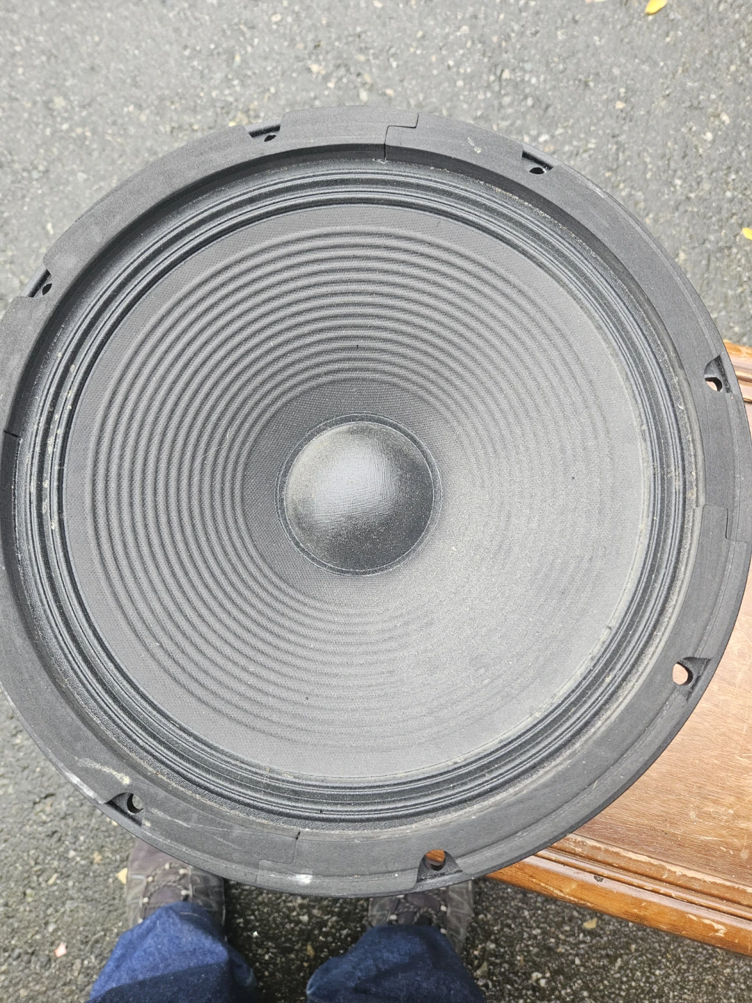 15-inch Replacement Speaker Woofer - photo 3