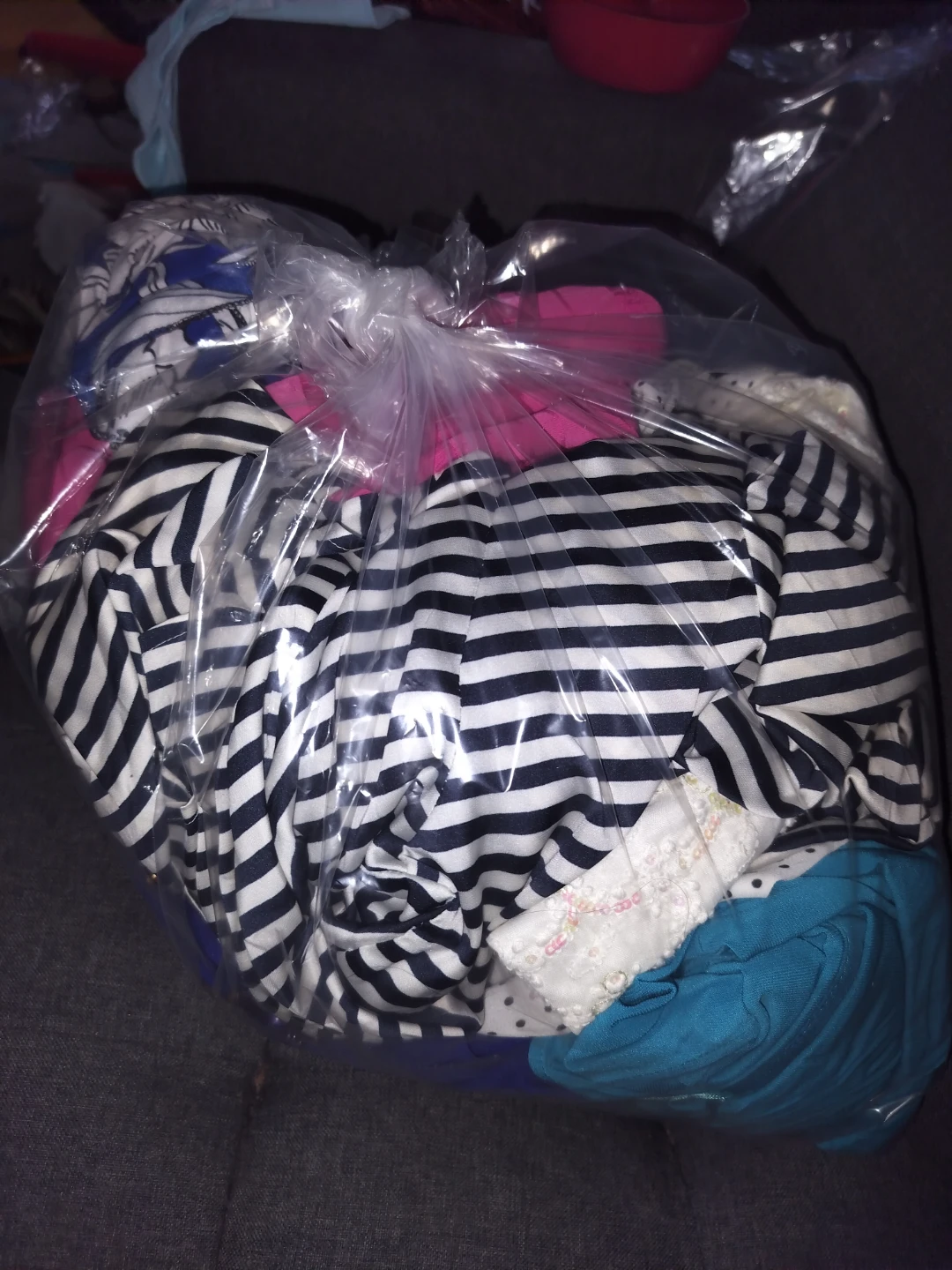 Women clothing bag