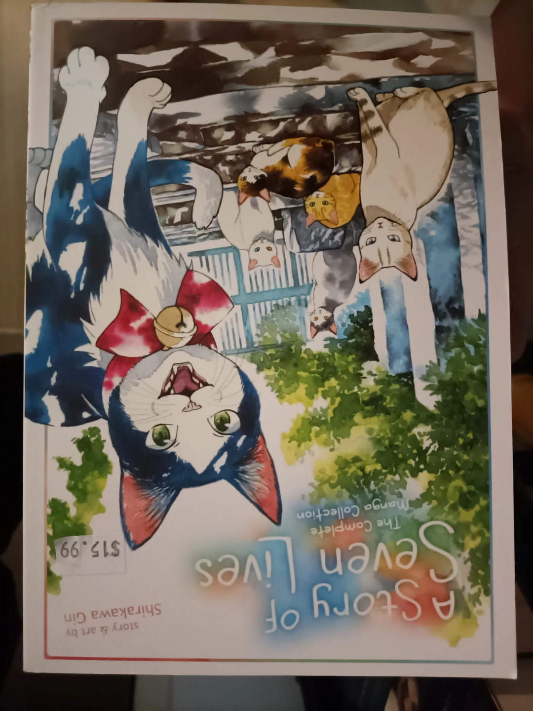 A Story of Seven Lives 🏈