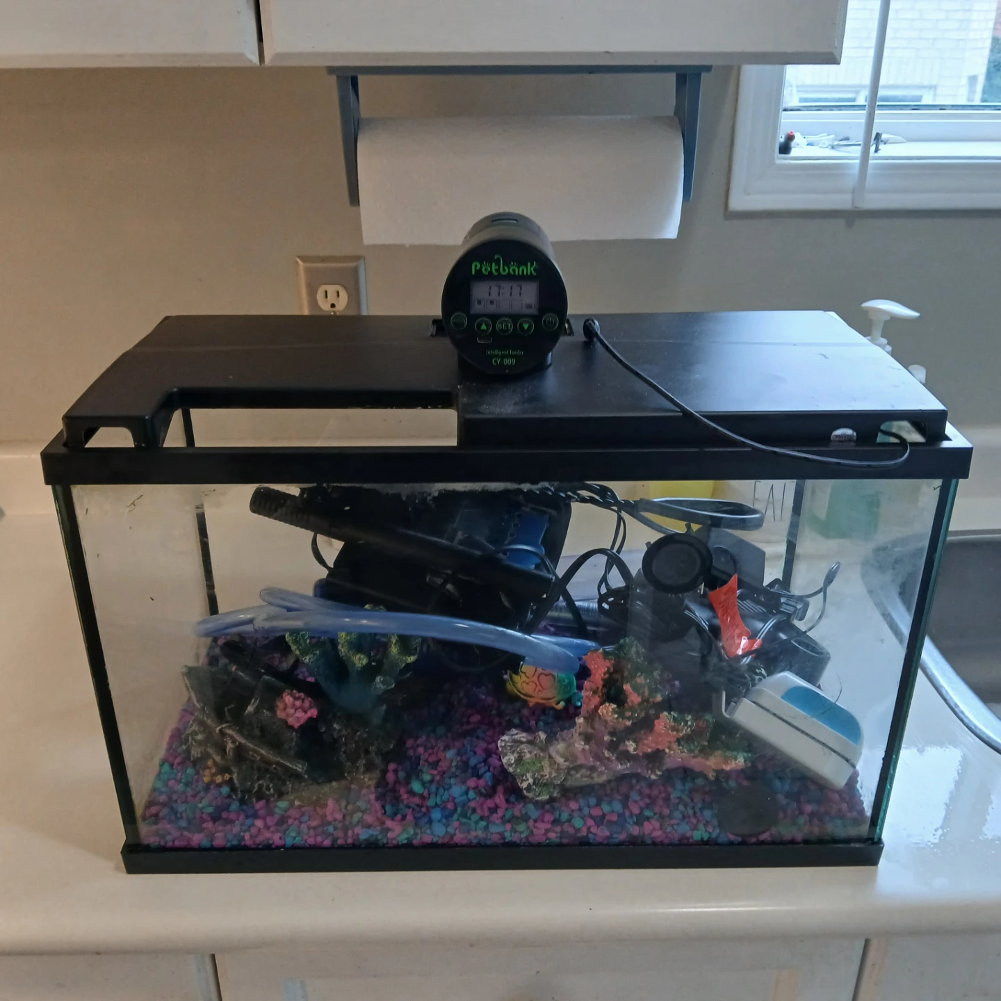Aquarium fish tank with filter
