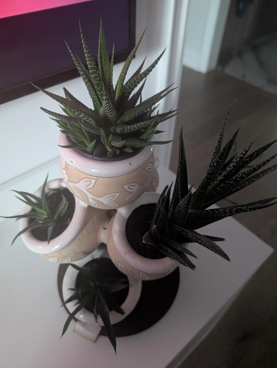 Unique 7 in1 pot with plants - photo 2