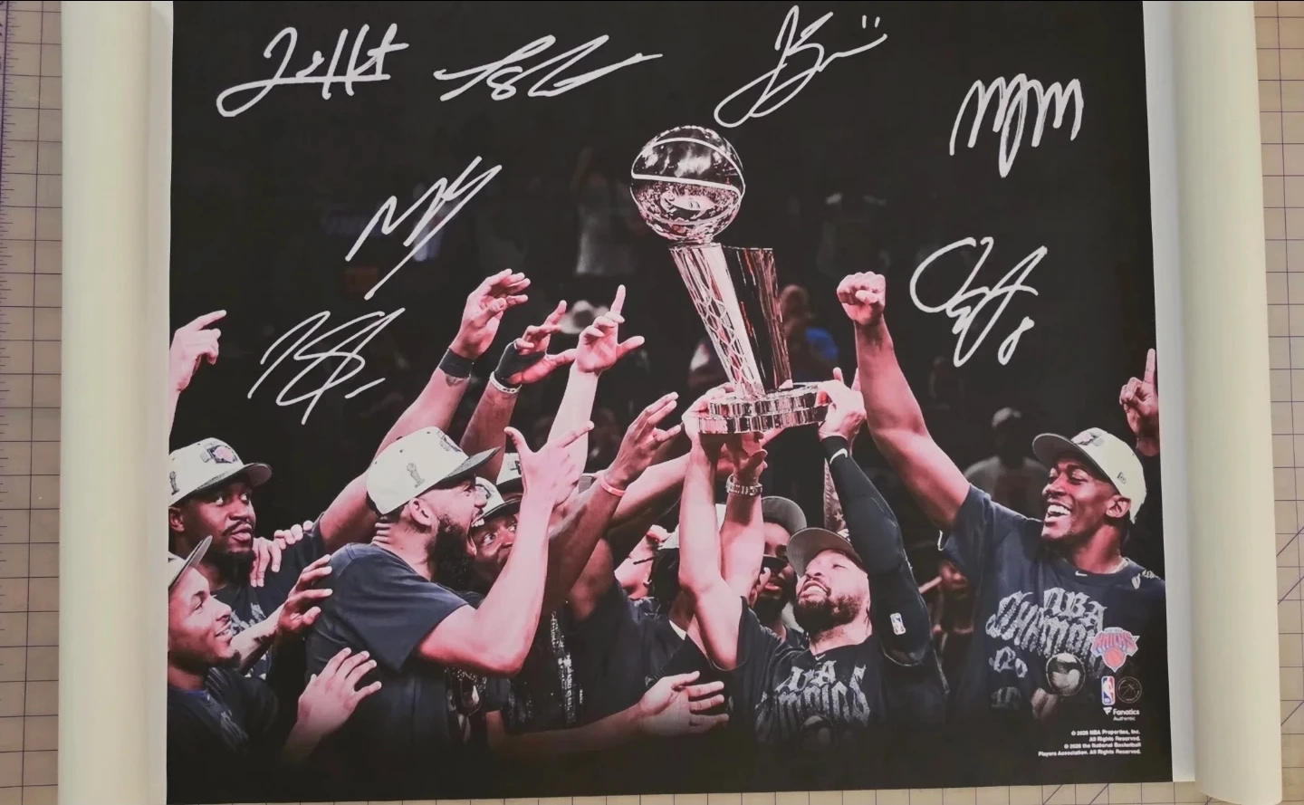 NBA Championship canvas print 🏀 🏈