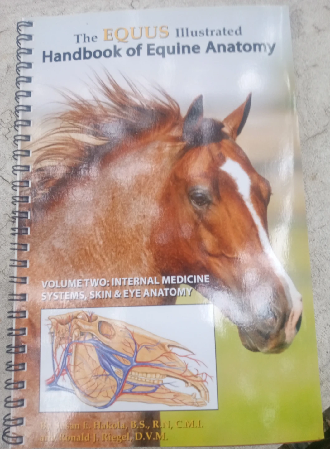The Equus Illustrated Handbook of Equine Anatomy Vol. 2