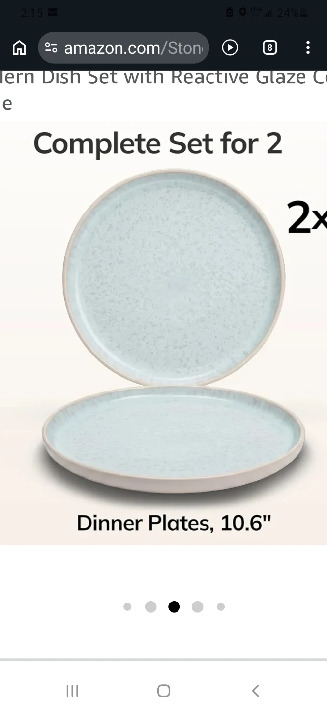 4 dinner plates & 4 Salad Plates.  PURE LIVING INTERIOR DESIGN - photo 3