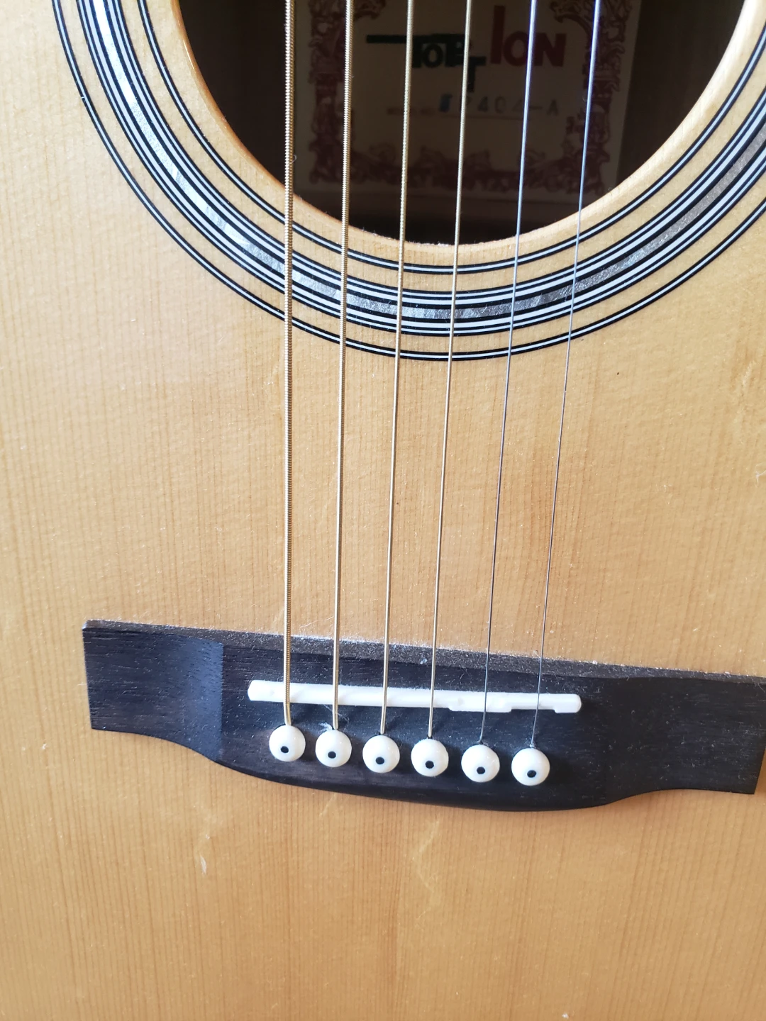 TOP LION Acoustic Guitar