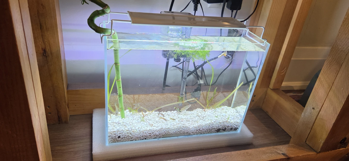Glass Aquarium with Light and Filter - photo 2
