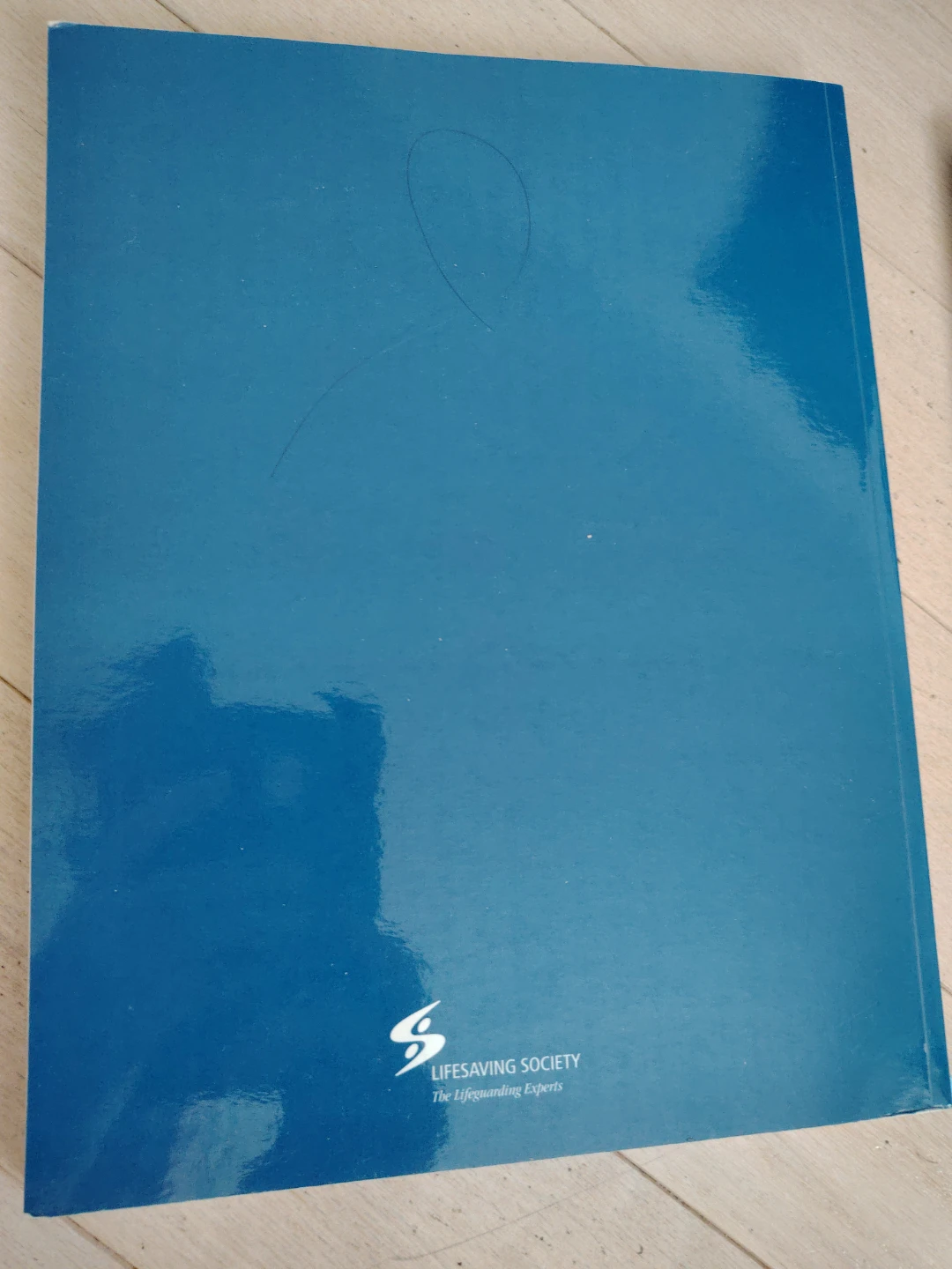 Canadian Lifesaving Manual - photo 2