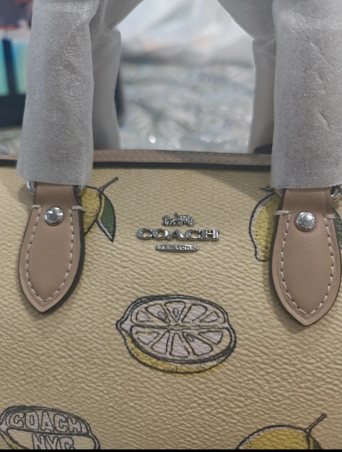 Coach Mini Rowan Crossbody Bag Lemon Print - photo 4