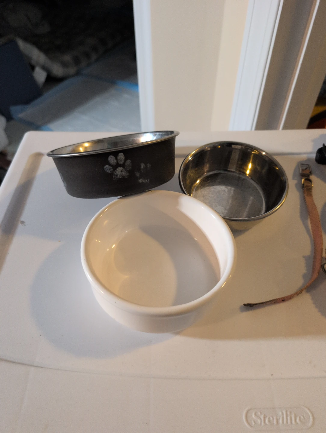 Small dog bowls and collars