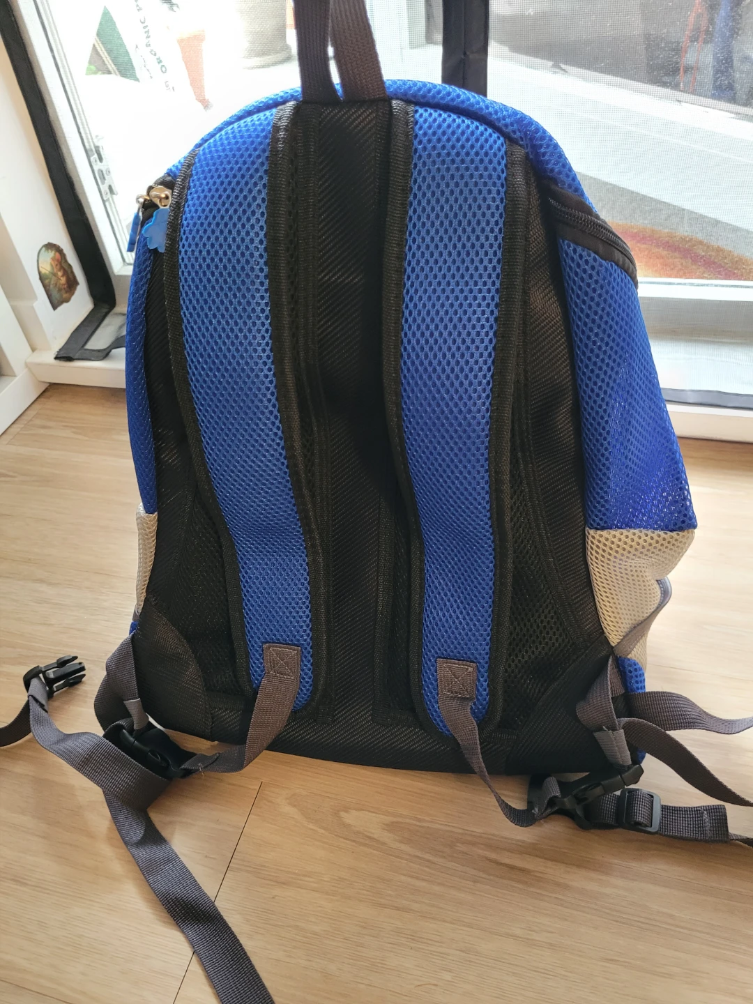 Blue Mesh Pet Carrier Backpack - photo 2