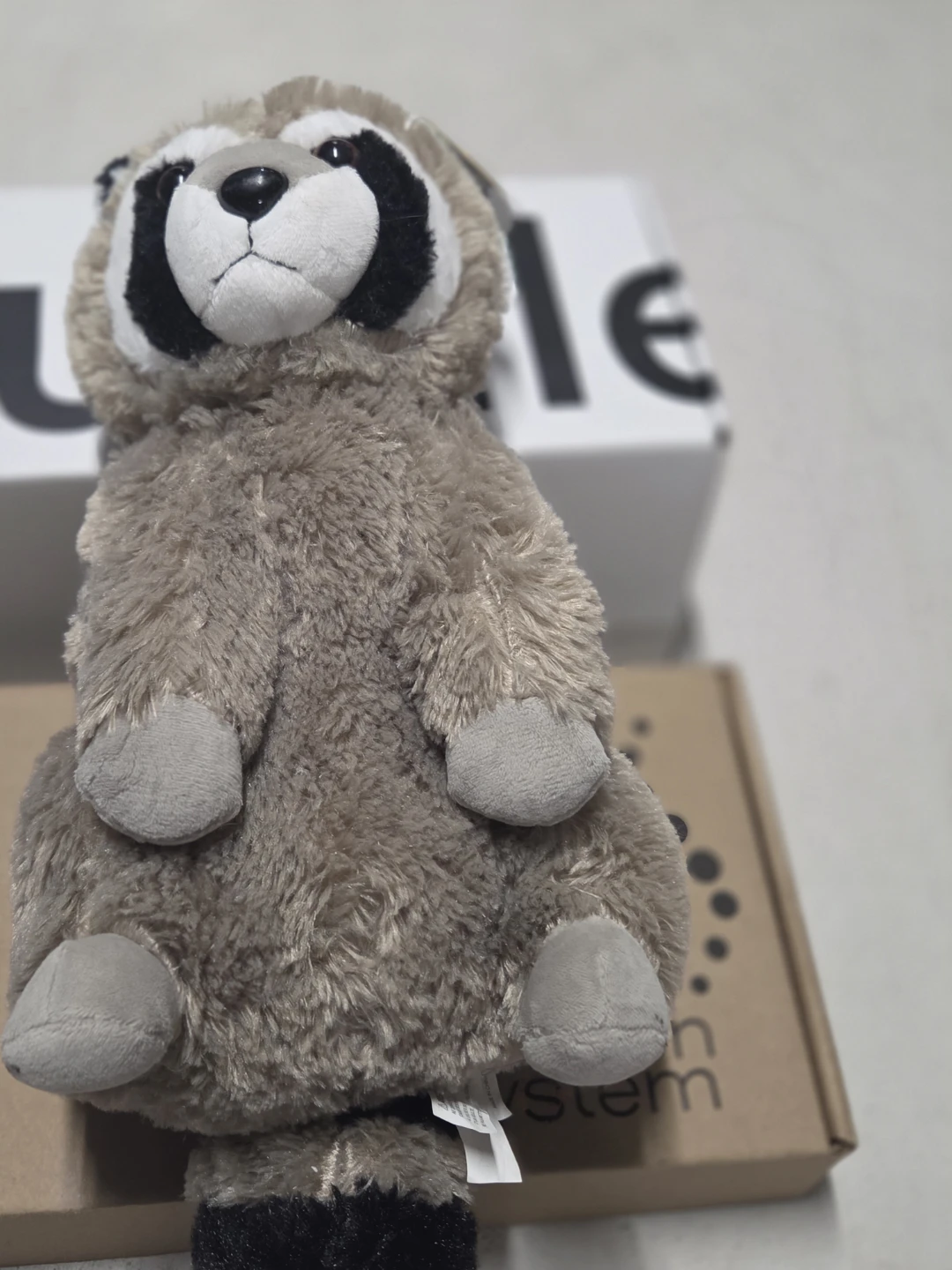 Plush Raccoon