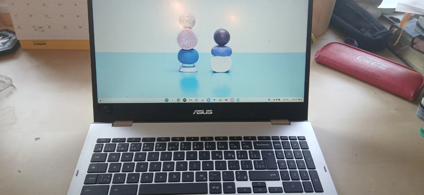 ASUS Chromebook Silver Laptop