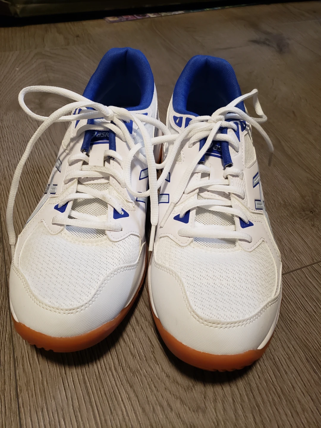Asics Men's Volleyball Shoes