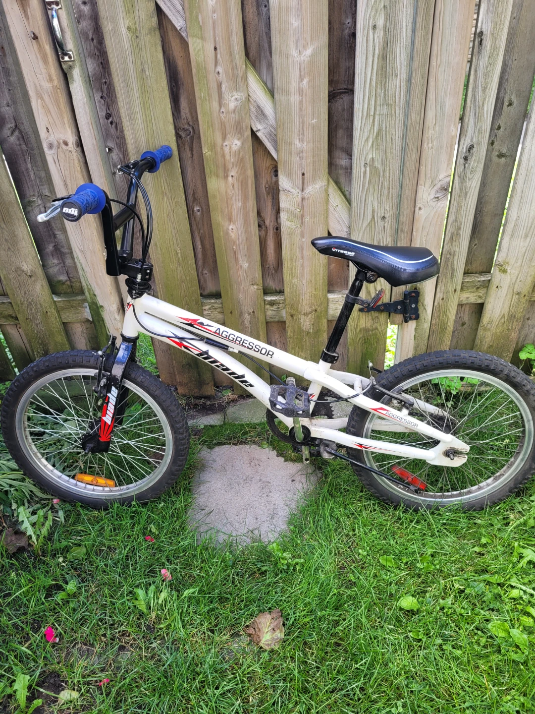 Aggressor BMX bike