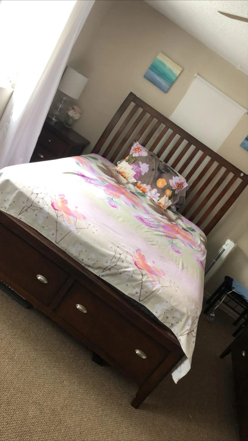 Queen bed with frame, mint condition
