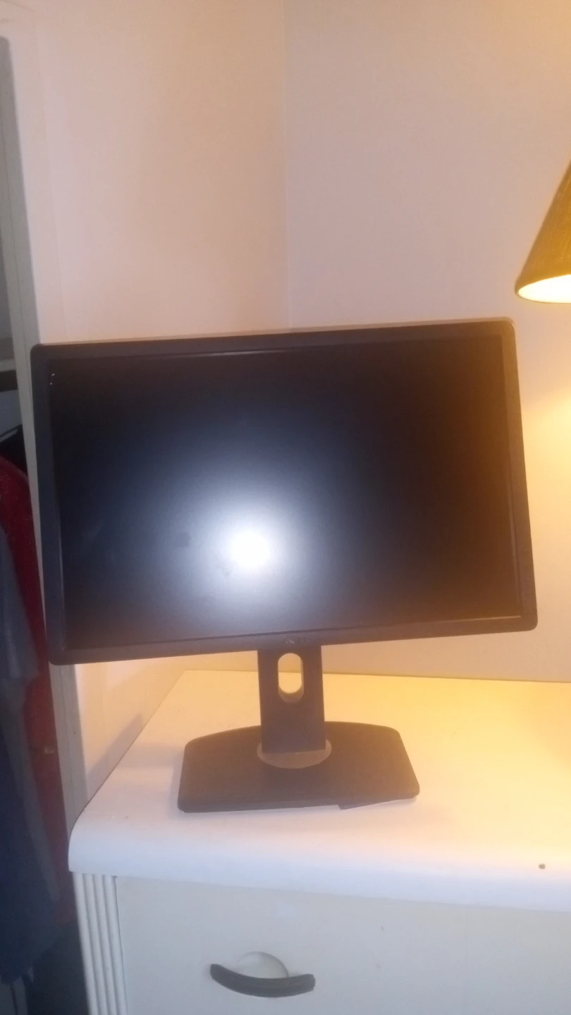 Dell Adjustable Computer Monitor