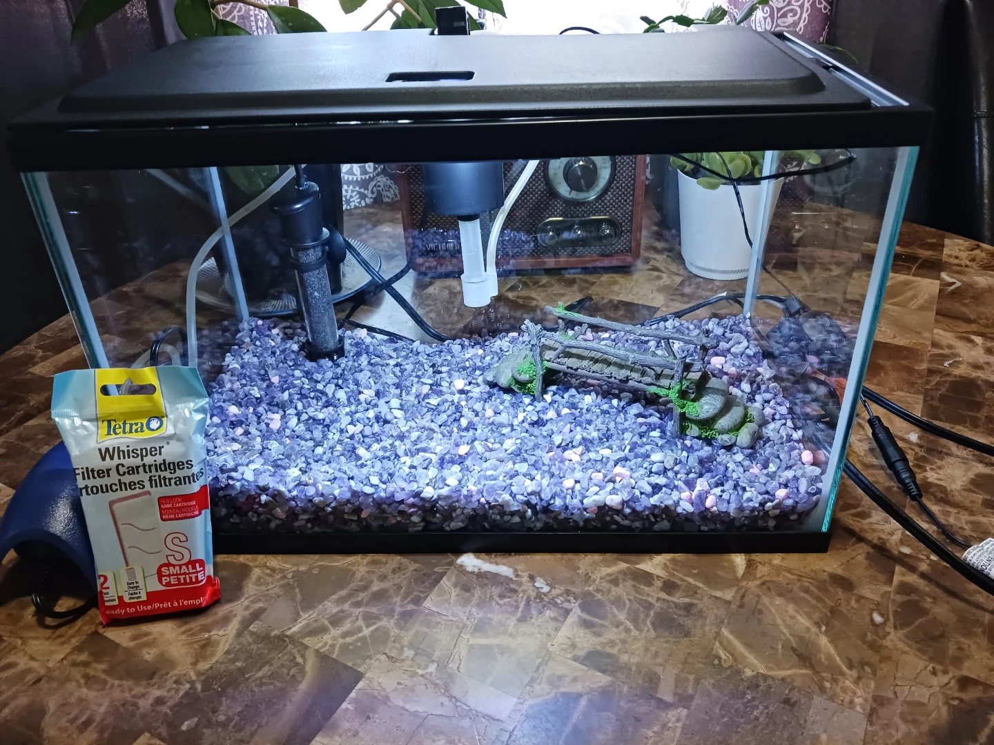 Glass Aquarium Tank 5 gallons with everything in the picture