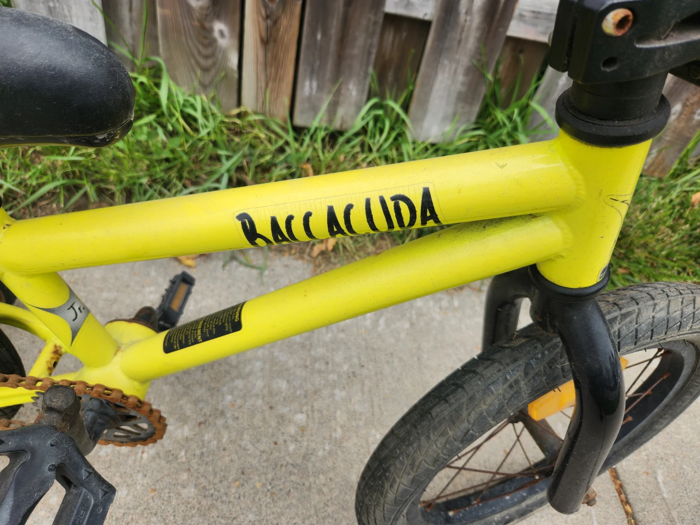 Baccacuda Kids Bike with Training Wheels