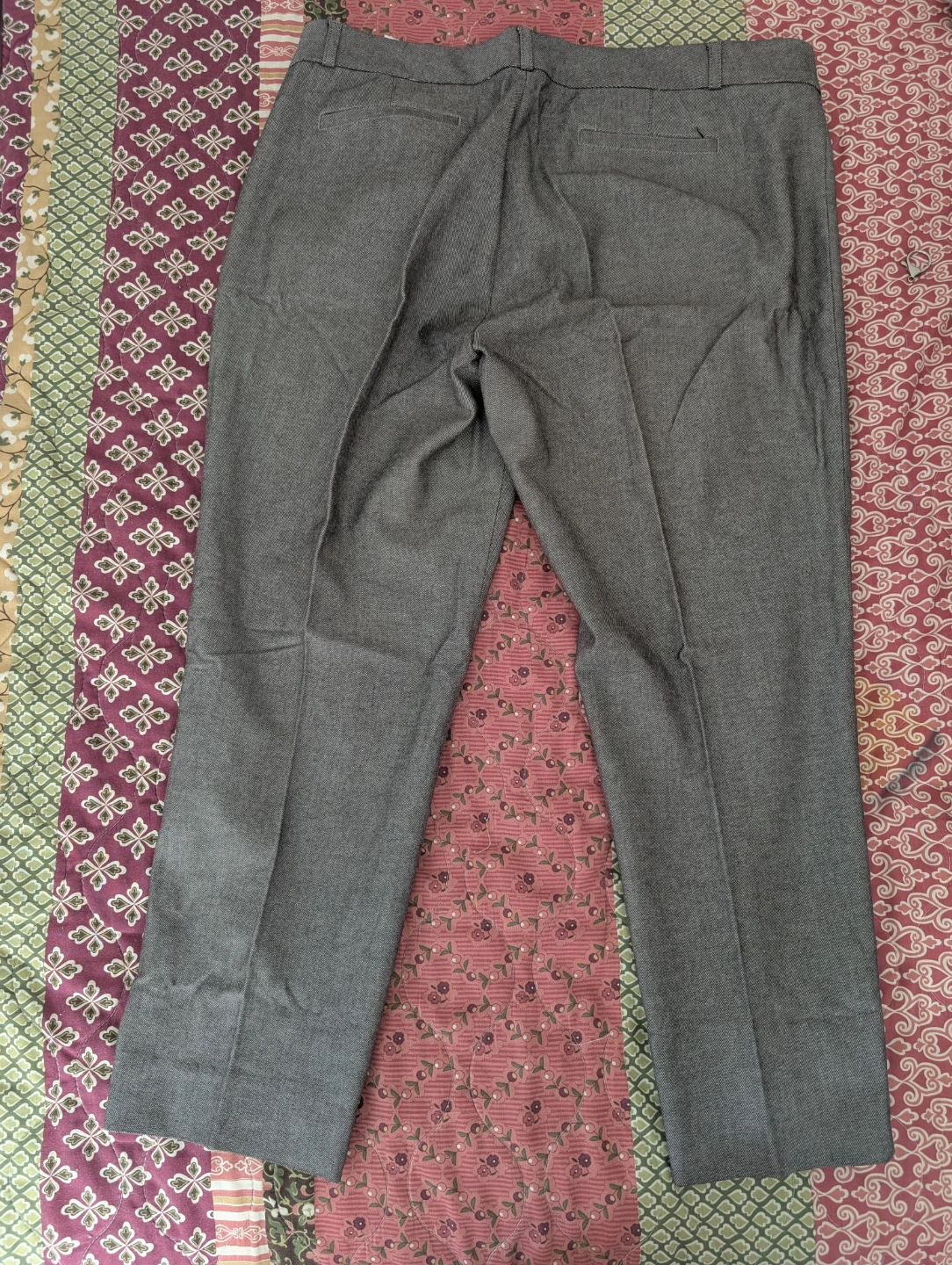 Banana Republic Sloan Pants Size 16S - photo 3