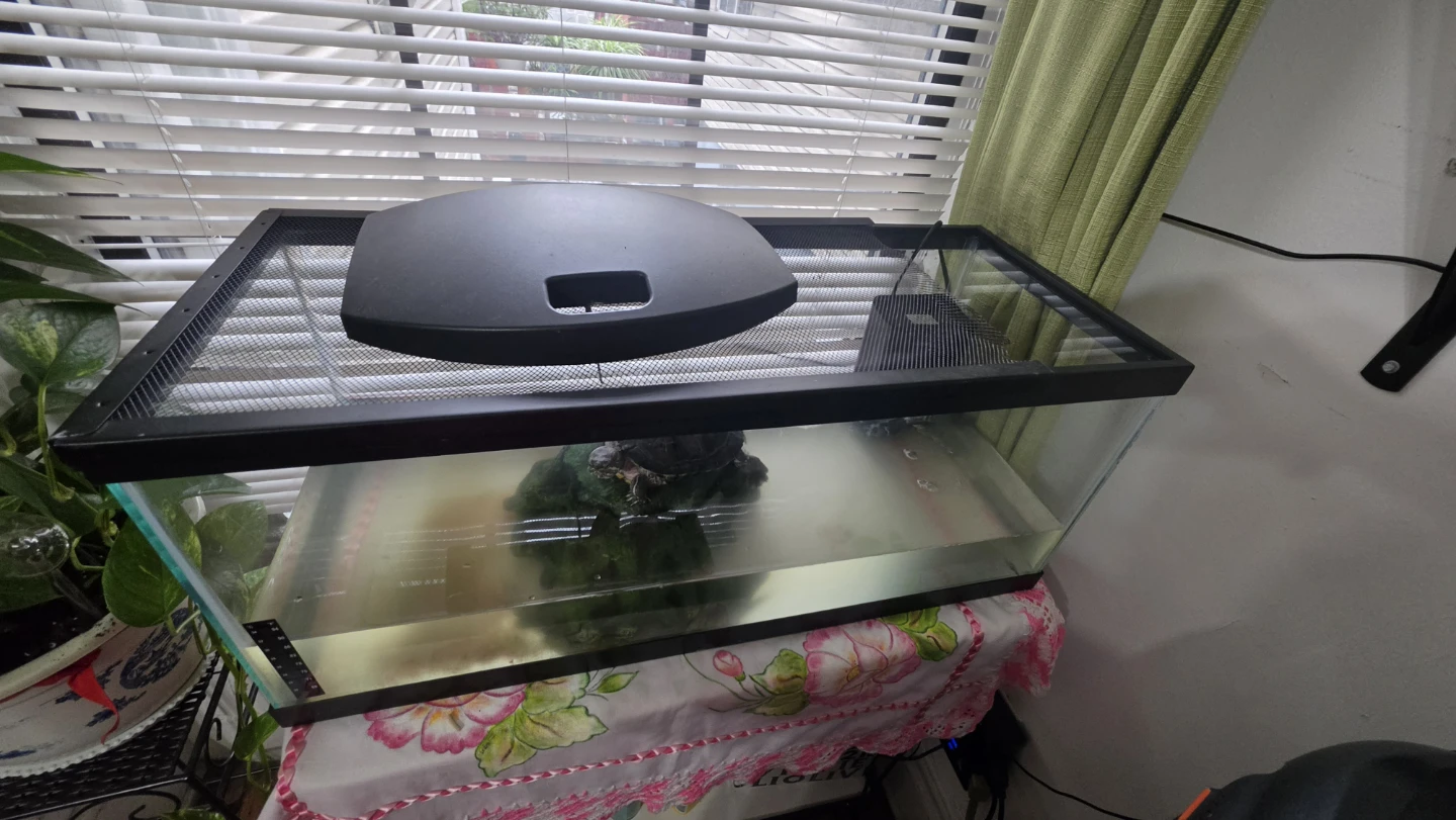Glass Aquarium Tank with Mesh Lid - photo 2
