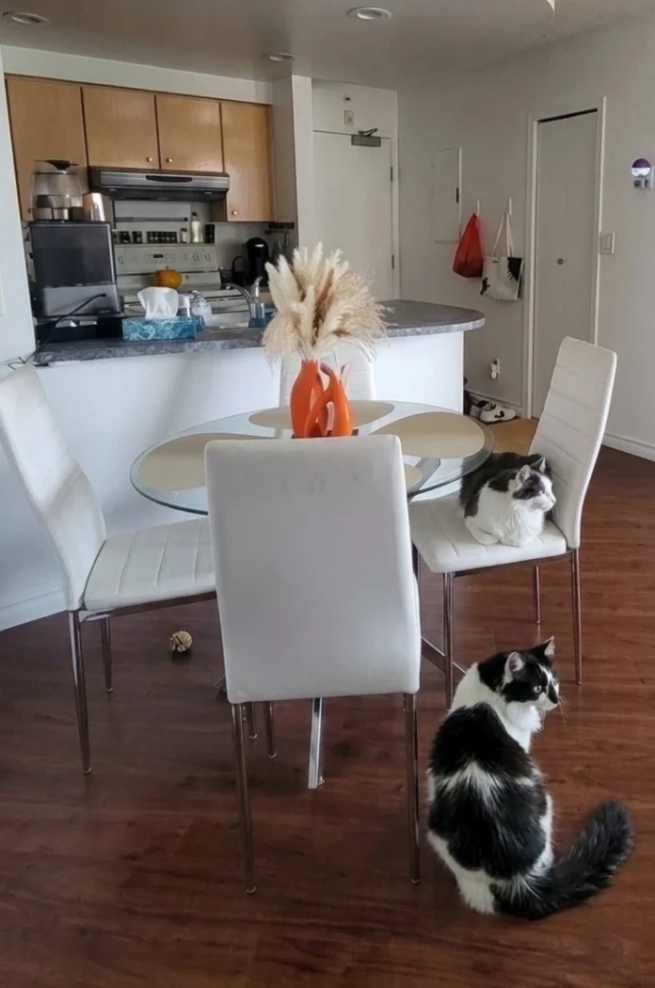 Glass Dining Table with 4 White Chairs