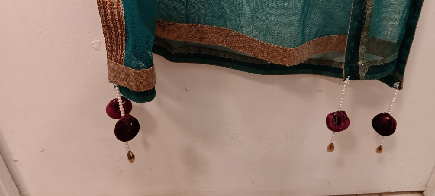 Teal Net Dupatta with Gold Trim - photo 3