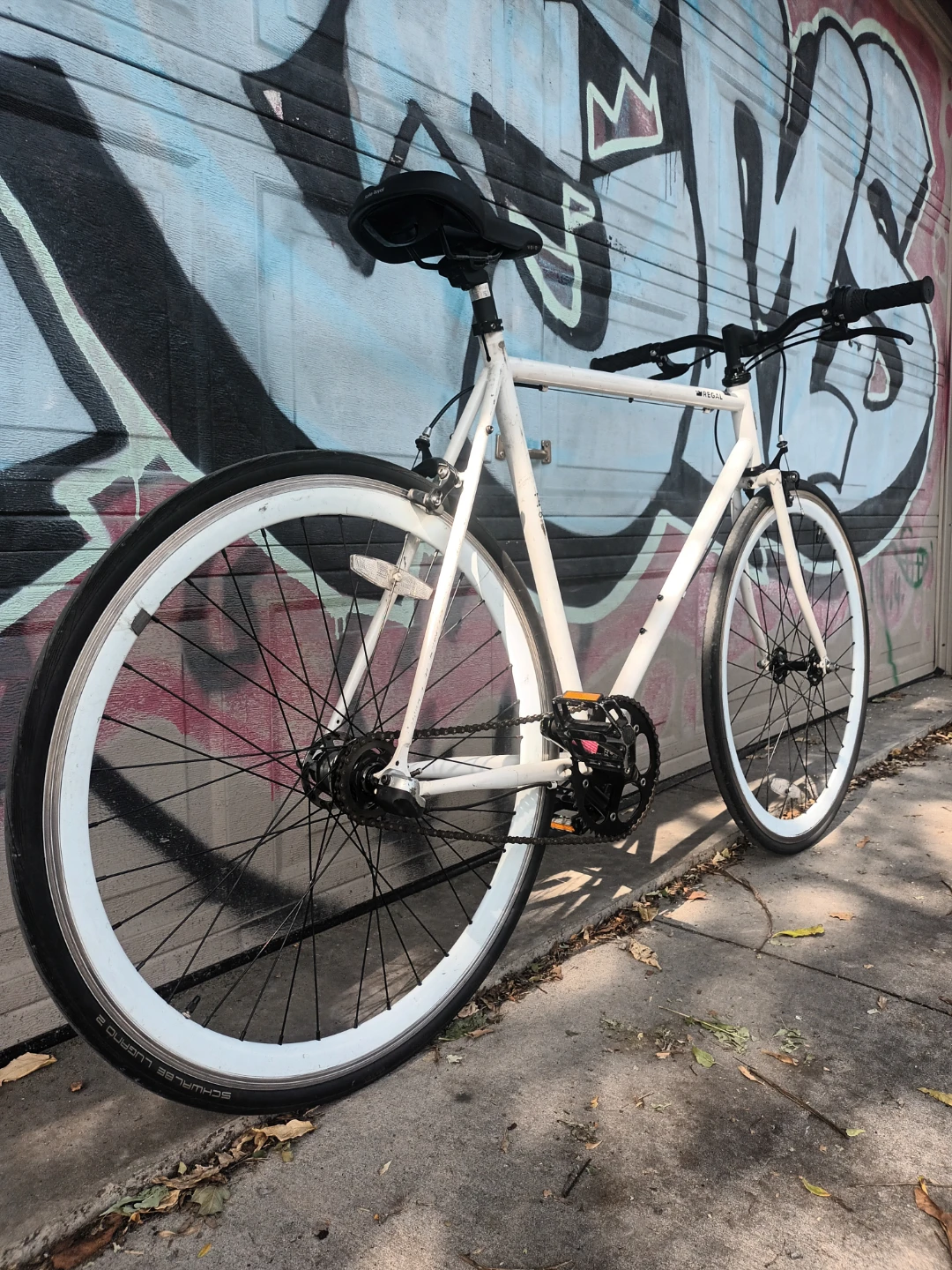 Regal 3 Speed Bike - photo 3