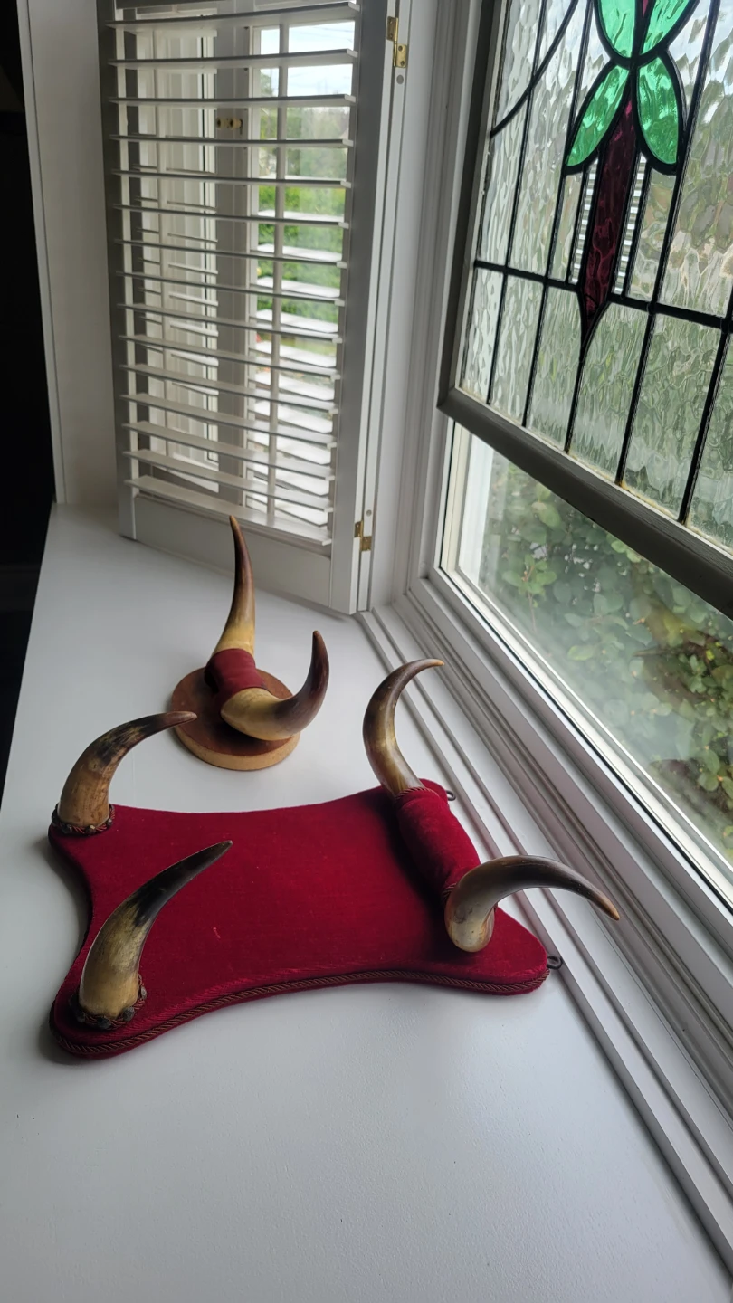 Two Mid Century Bull Horns Mounted Taxidermy - photo 2