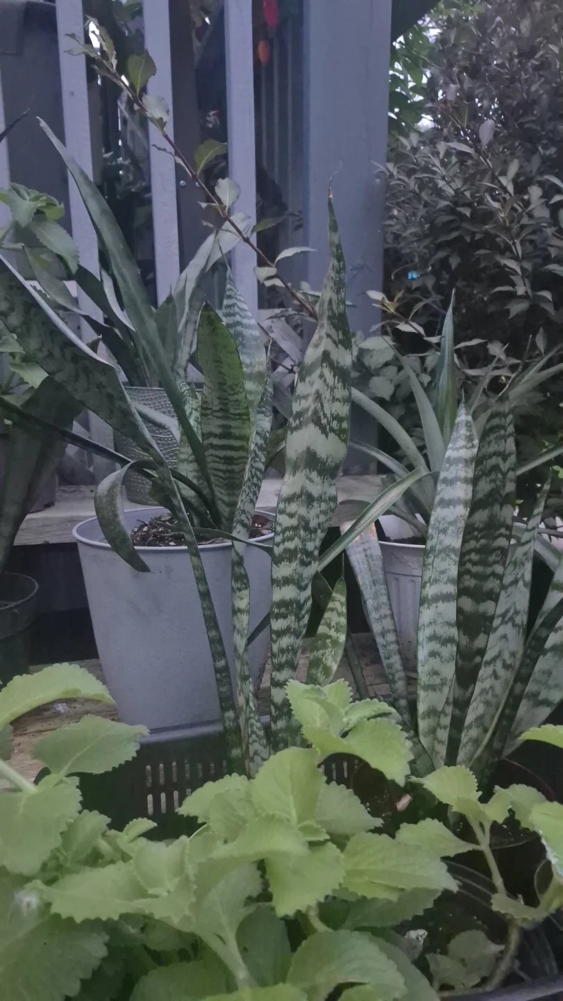 Home and Garden - photo 2