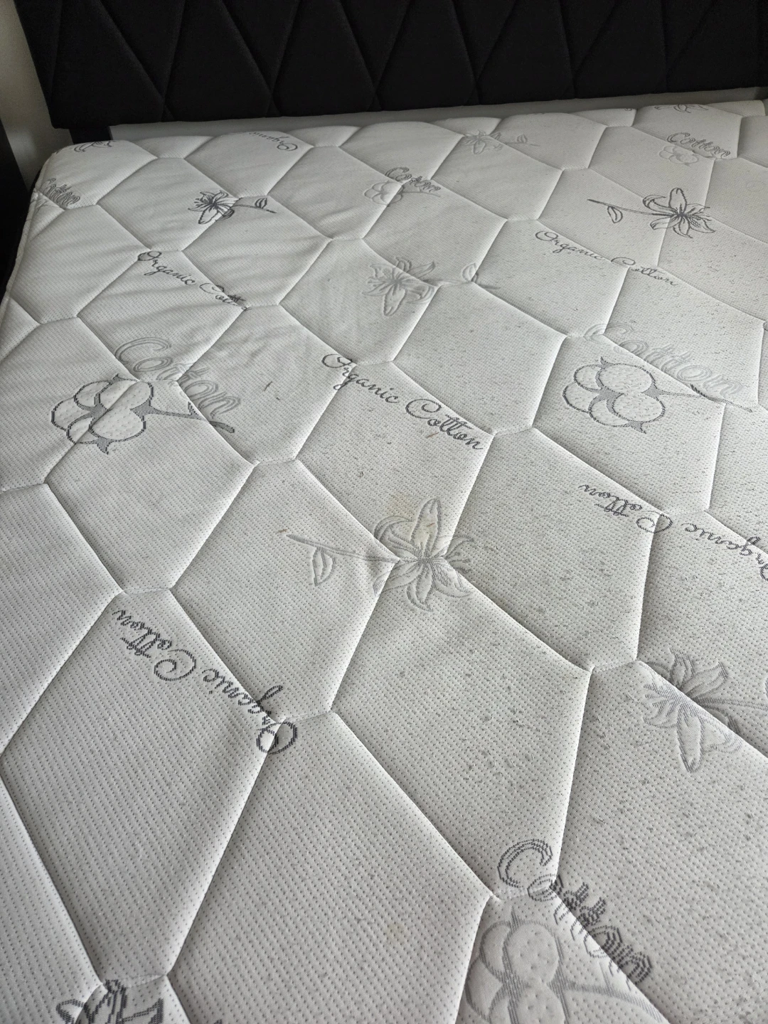 Free Queen Mattress - photo 5