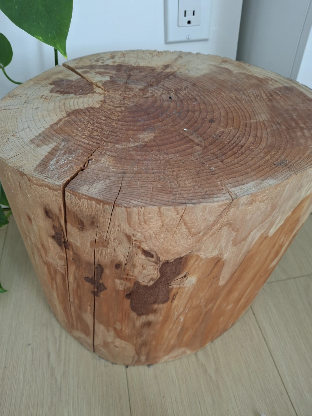 Natural Wood Log Side Table - photo 5