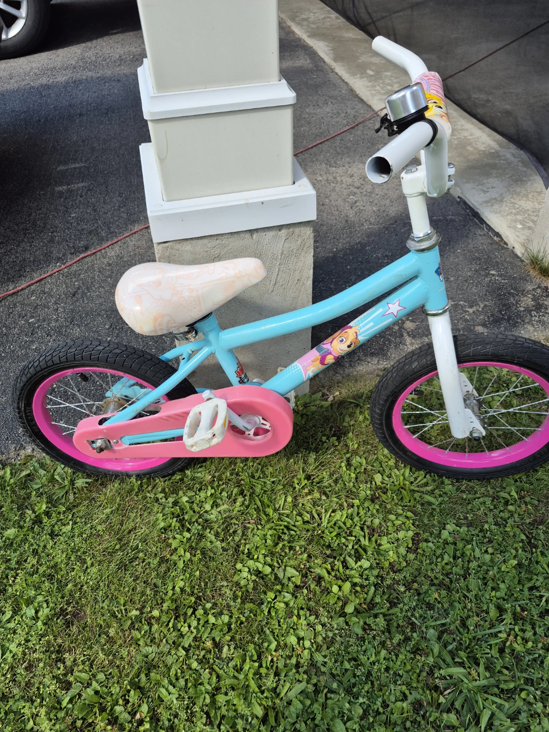 Paw Patrol Skye Kids Bicycle
